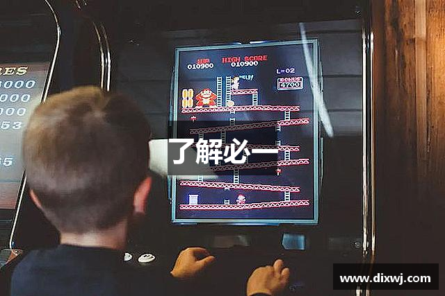 了解必一